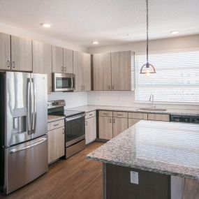 Luxurious Kitchen