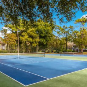 Volleyball Court