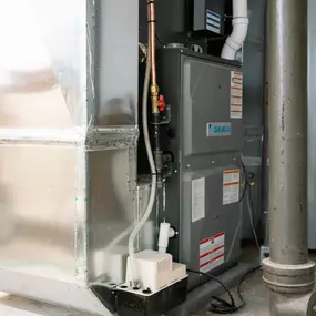 Bild von Stafford Home Service