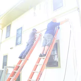 Bild von Stafford Home Service