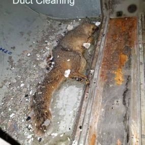 Bild von Superior Air Duct Cleaning