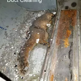 Bild von Superior Air Duct Cleaning