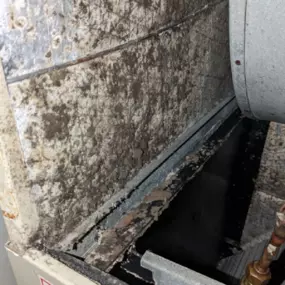 Bild von Carl's Quality Cooling and Heating LLC