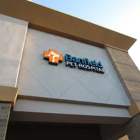 Banfield Pet Hospital® - Peoria