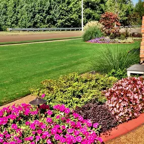 Protect your lawn against common weeds like nutsedge, fireweed, and kyllinga by signing up for our weed control program today.