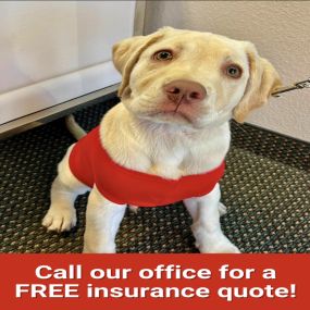 Geoff Carlson - State Farm Insurance Agent