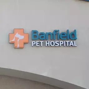 Banfield Pet Hospital® - Plymouth