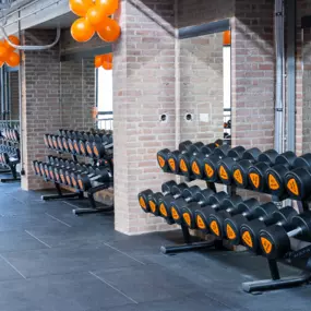 Basic-Fit Veldhoven Lange Kruisweg - free weight zone