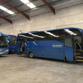 hansbus6.jpg