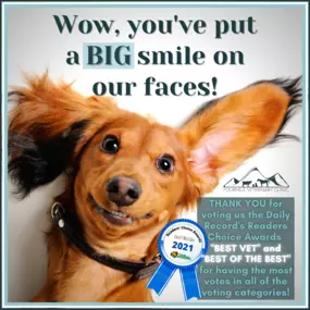 The entire team at Fourmile Veterinary Clinic would like to take a moment to thank you for voting us BEST VET for the second year running and for helping us get the most votes in any of the categories! We're beyond grateful for the support and encouragement from our community, and look forward to caring for your animals for years to come!