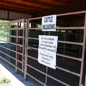 Our staff will take all the necessary measures to safely treat and handle your cattle. You can rest assured that your animals are safe in our hands.