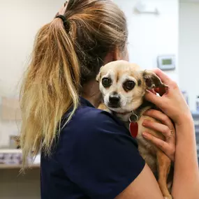 Getting to cuddle all of our adorable patients is an amazing perk, but what makes our jobs worth it is the knowledge that we get to help animals get the care they deserve. At the end of the day, there’s nothing better.