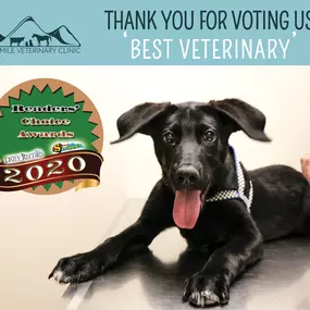 The entire team at Fourmile Veterinary Clinic would like to take a moment to thank you for voting us 'Best Veterinary'. This honor means so much to us, and we look forward to continue providing only the BEST in veterinary medicine.