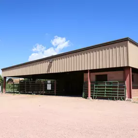 When we moved to our present location back in 2008, we were able to dedicate even more space for our larger patients! This addition provides our equine animals with more room to relax so that they can feel at home.