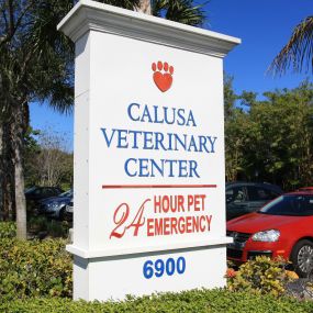 Calusa Veterinary Center is here for your pet 24/7/365.