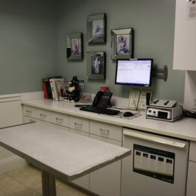 Our facility has multiple private exam rooms where your pet will be examined by one of our caring and experienced veterinarians.