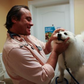 Here, Dr. Krawitz checks the teeth and gums for signs of dental disease.