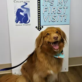 Someone was very excited for their first visit photoshoot If it's your pet's first visit, they'll have a chance to have their photo taken in front of our awesome first visit sign!