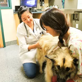 Dr. Carrie Wang checks a patient's joint health during a wellness visit.