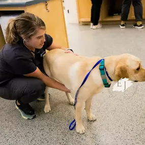 Using a stethoscope, Dr. Celene Joza listens to her patient’s heart and lungs.