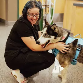 We understand that visits to the vet with your pet can feel stressful.  In an effort to alleviate that stress, our team works hard to ensure your pets feel safe, comfortable and loved during their time with us.