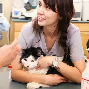 We understand that veterinary visits are a source of stress for many cats. At Indian Tree, we work hard to minimize stress and maximize comfort in your feline friend.