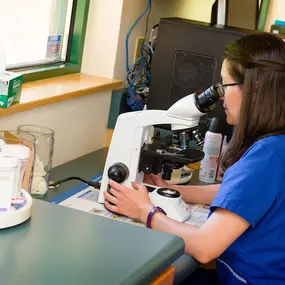 Indian Tree Animal Hospital's in-house laboratory is equipped with modern, state-of-the-art technology in order to return accurate test results quickly and efficiently. Our lab is capable of processing bloodwork and intestinal parasite exams, giving our veterinarians the most direct access to your pet's health.