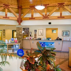 The lobby at Indian Tree Animal Hospital is well-stocked with all kinds of pet products, including a variety of pet foods. We also provide many educational resources for pet owners to help you take care of your pet between visits.