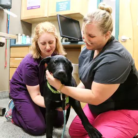 Dr. Emily Howard carefully listens to a patient’s heart and lungs during a routine wellness visit.