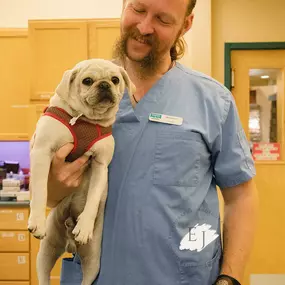 This sweet pup gets some love from one of our compassionate veterinary technicians. At Indian Tree Animal Hospital, we understand how much your pet means to you and your family because we are pet-lovers ourselves!