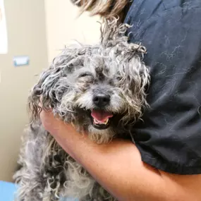 This adorable patient is all smiles to be visiting Indian Tree!