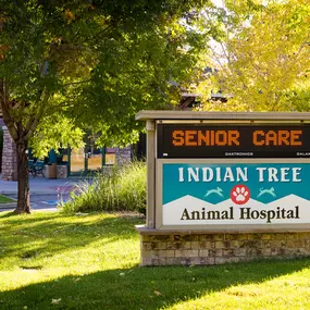 Welcome to Indian Tree Animal Hospital! We are an award-winning veterinary practice committed to serving the dogs and cats of Arvada, CO, and its surrounding areas, including Westminster, Wheat Ridge, Lakewood, Broomfield, and Denver.