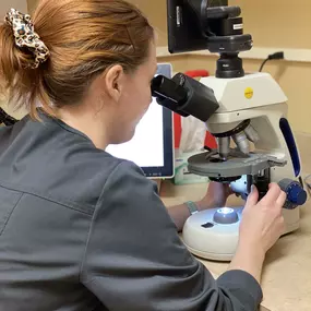 One of our team members examines a sample using a microscope in our on-site diagnostic laboratory.