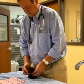 This teeny, tiny, adorable kitten is ready for his wellness exam with Dr. Gib Benschoter!