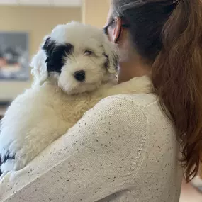 Puppy cuddles are some of our favorite cuddles!