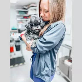 This pup is getting some TLC from our team.