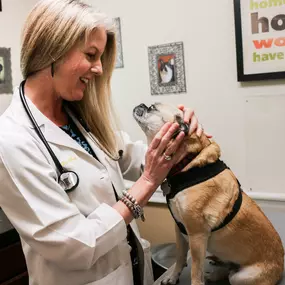 Dr. Leanna Parker visually examines a patient’s eye health.