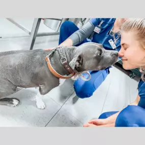 A team member and patient exchanging kisses.