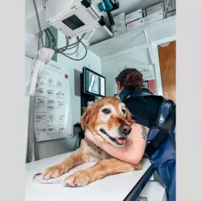 This pup was rocking the x-ray like a champ!