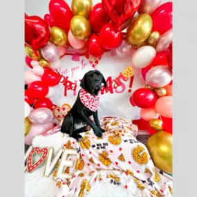 How Berry Sweet is our patient next to our strawberry adorable backdrop?