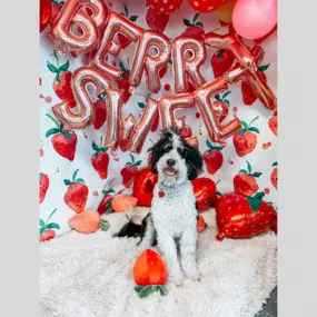 How Berry Sweet is our patient next to our strawberry adorable backdrop?