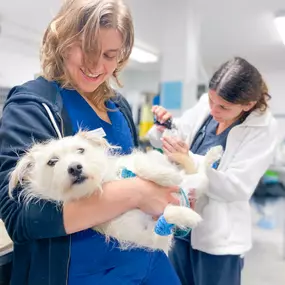 Such a good pup for their toenail trim.