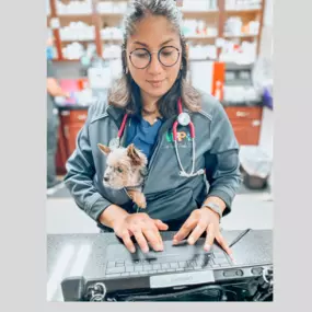 This pup is feeling pawsitively stylish for their check-up!