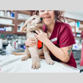 Cuddles with a puppy patient