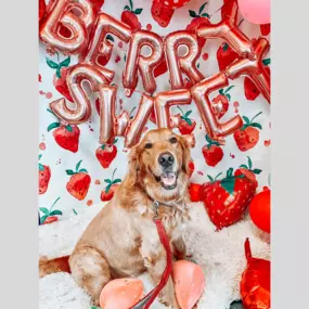 How Berry Sweet is our patient next to our strawberry adorable backdrop?