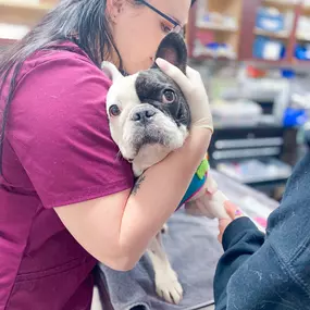 This patient is doing so well for a blood draw.