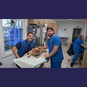 Overpeck Creek Animal Hospital team members giving snuggles to a patient.