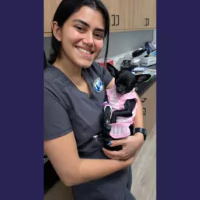 Overpeck Creek Animal Hospital team member giving snuggles to a patient.