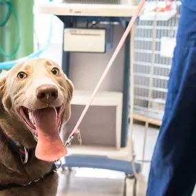 Our patients have the BEST smiles :)