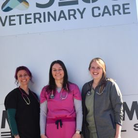 Some of our team at 5280 Veterinary Care. We treat the pets of Denver, CO